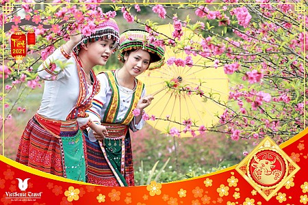 Mộc Châu - Sơn La - Điện Biên | Tết Âm Lịch 2025