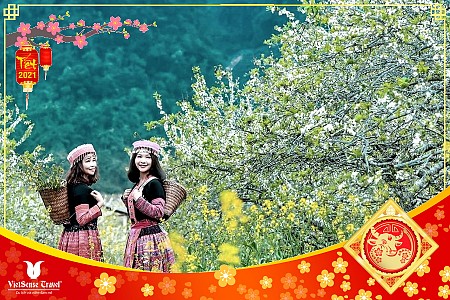 Mộc Châu - Sơn La - Điện Biên | Tết Âm Lịch 2025