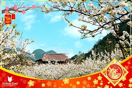 Mộc Châu - Sơn La - Điện Biên | Tết Âm Lịch 2025