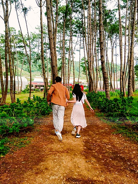 Hà Nội - Mai Châu - Mộc Châu | Mùa Hoa Mơ, Hoa Mận Tết Âm Lịch 2025