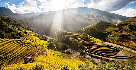 Hà Nội - Nghĩa Lộ - Mù Cang Chải - Tú Lệ | 2 Ngày 1 Đêm