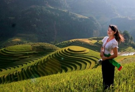 Hà Nội - Tú Lệ - Mù Cang Chải - Nghĩa Lộ - Suối Giàng | 3 Ngày 2 Đêm