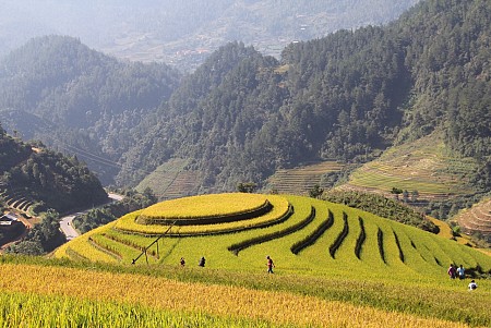 Hà Nội - Mù Cang Chải - La Pán Tán - Nghĩa Lộ - Suối Giàng - 3n2đ