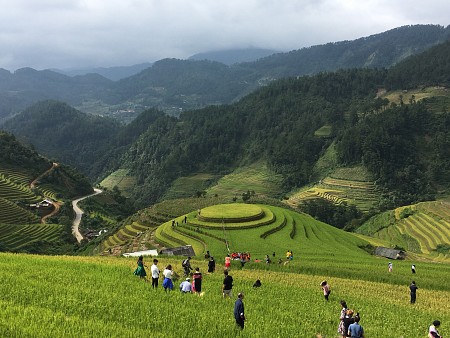 Hà Nội - Mù Cang Chải - La Pán Tán - Nghĩa Lộ - Suối Giàng - 3n2đ