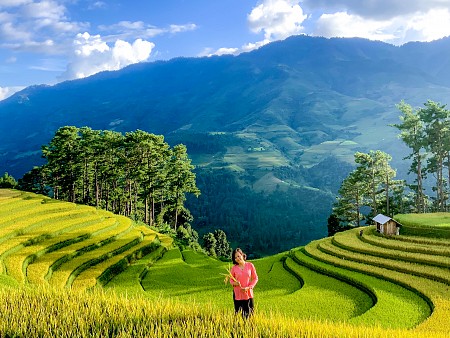 Hà Nội - Mù Cang Chải - Bản Lướt Ngọc Chiến - Tắm Khoáng Nóng | 3 Ngày 2 đêm