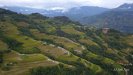 Nghĩa Lộ - Mù Cang Chải - Tú Lệ từ Hà Nội | 02 Ngày 01 Đêm