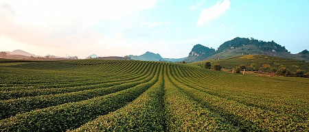 Chương trình: Sơn La - Điện Biên Lễ | 30 Tháng 4