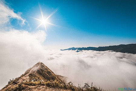 Mùa Hồng Mộc Châu - Thiên Đường Mây Tà Xùa 2025