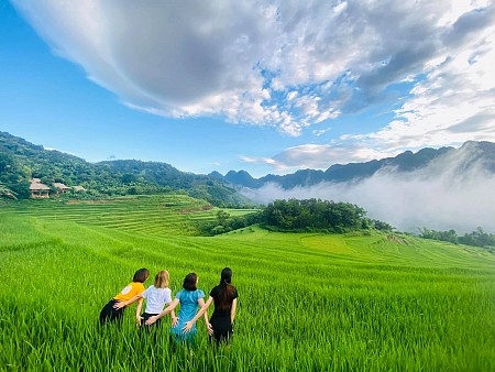 Chương Trình Tà Xùa Săn Mây 2025