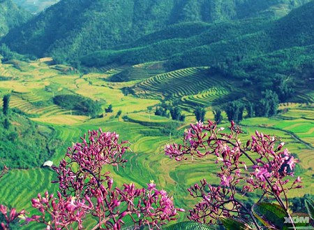 Hành trình 3 Ngày 2 Đêm:  Giỗ Tổ Hùng Vương