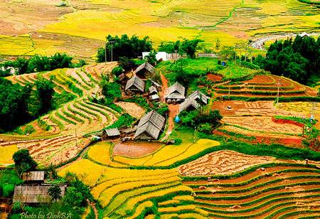 Tây Bắc 3 Ngày 2 Đêm: Hà Nội - Nghĩa Lộ - Mù Cang Chải - Tú Lệ