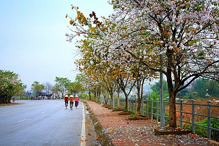 Mộc Châu - Sơn La – Điện Biên | 3 Ngày 2 Đêm