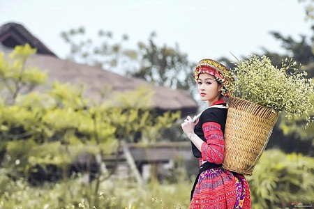 Khám Phá Hà Nội - Mộc Châu - Sơn La - Điện Biên