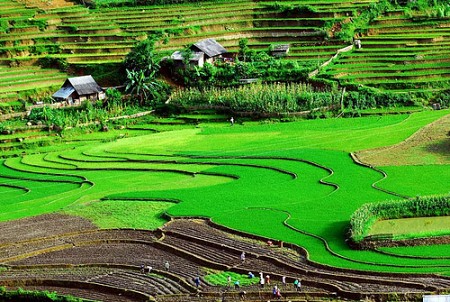 Hà Nội - Mai Châu - Sơn La - Điện Biên - Lai Châu - Sapa 6 Ngày 5 Đêm