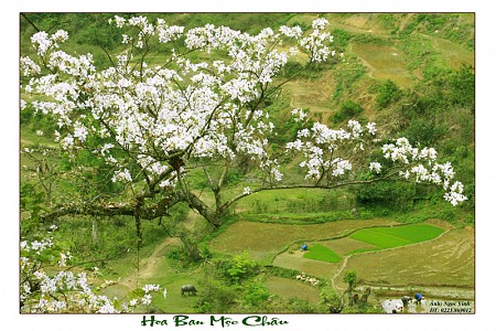 Hành Trình Khám Phú Núi Rừng Tây Bắc | 6 Ngày 5 Đêm