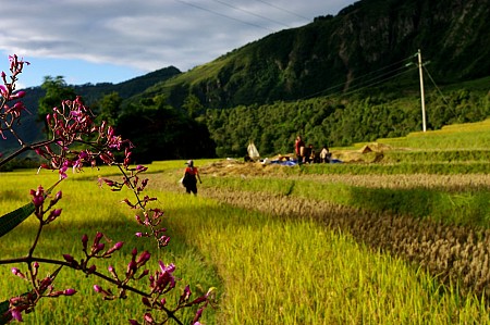Hà Nội - Mai Châu - Sơn La - Điện Biên - Lai Châu - Sapa - Hà Nội