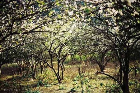 Ghép Đoàn: Hà Nội - Sơn La - Điện Biên - Hà Nội | 3 Ngày 2 Đêm