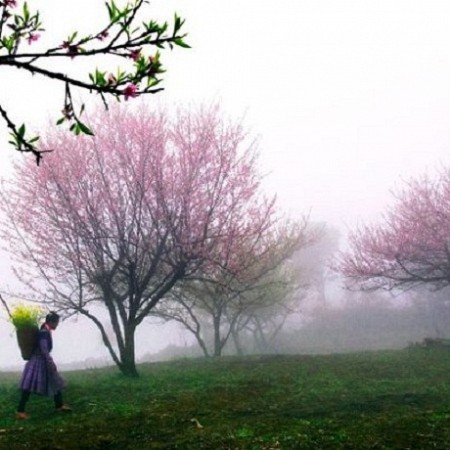 Ghép Đoàn: Hà Nội - Sơn La - Điện Biên - Hà Nội | 3 Ngày 2 Đêm