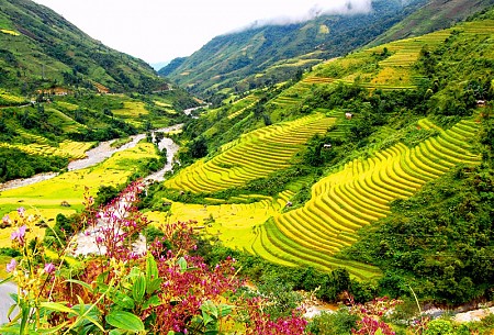 Tây Bắc 5 Ngày 4 Đêm: Hà Nội -  Mai Châu – Sơn La – Điện Biên – Sapa (đi xe,về tàu)