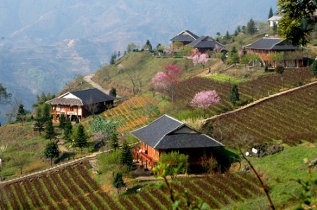 Tây Bắc 5 Ngày 4 Đêm: Hà Nội -  Mai Châu – Sơn La – Điện Biên – Sapa (đi xe,về tàu)