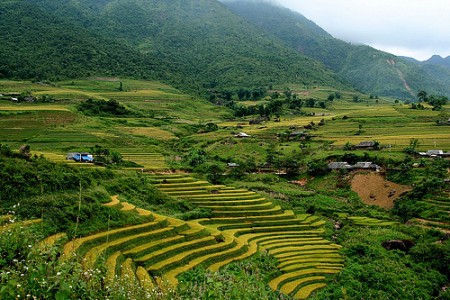 Tây Bắc 5 Ngày 4 Đêm: Hà Nội -  Mai Châu – Sơn La – Điện Biên – Sapa (đi xe,về tàu)