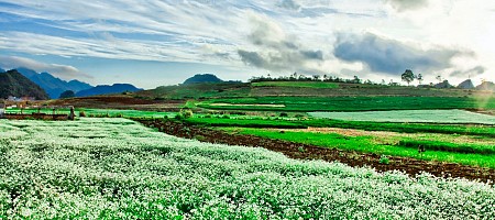 Hành Trình Hà Nội - Mộc Châu - Sơn La - Điện Biên