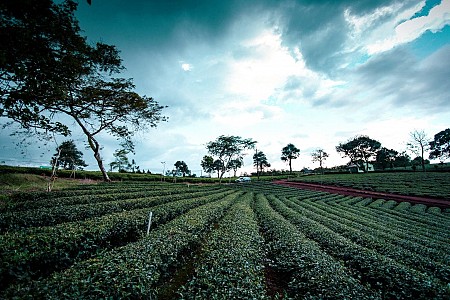 Chương trình Lễ 30 Tháng 4 Năm 2025