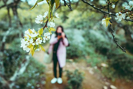 Chương trình Lễ 30 Tháng 4 Năm 2025