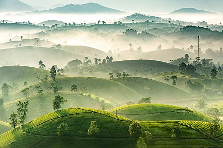 Chương trình Lễ 30 Tháng 4 Năm 2025