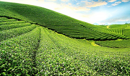 Chương trình Lễ 30 Tháng 4 Năm 2025