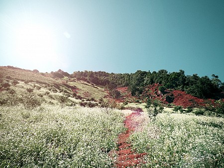 Chương trình Lễ 30 Tháng 4 Năm 2025