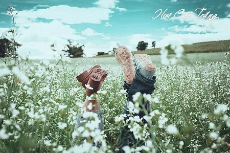 Chương trình Lễ 30 Tháng 4 Năm 2025