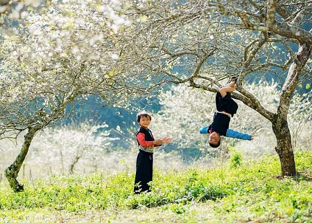 TÂY BẮC XUÂN VỀ: HÀ NỘI - SƠN LA - ĐIỆN BIÊN - MỘC CHÂU