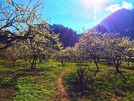 TÂY BẮC XUÂN VỀ: HÀ NỘI - SƠN LA - ĐIỆN BIÊN - MỘC CHÂU
