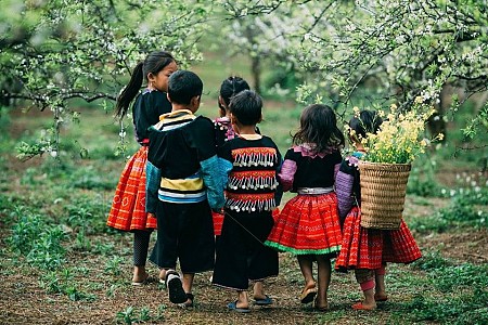 TÂY BẮC XUÂN VỀ: HÀ NỘI - SƠN LA - ĐIỆN BIÊN - MỘC CHÂU