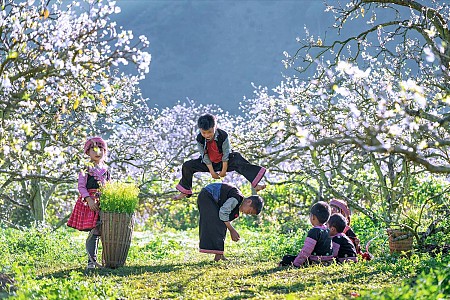 TÂY BẮC XUÂN VỀ: HÀ NỘI - SƠN LA - ĐIỆN BIÊN - MỘC CHÂU