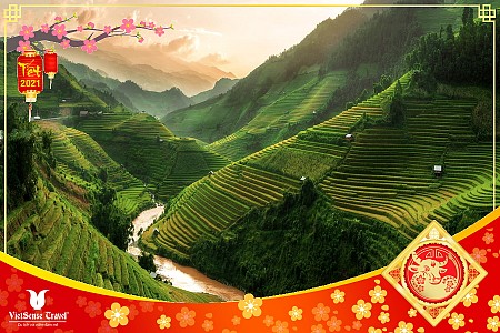 Mộc Châu - Vườn Mận  - Sơn La - Bản Hùn - Chiềng Cọ - Mường Phăng - Điện Biên | Tết Âm Lịch 2025