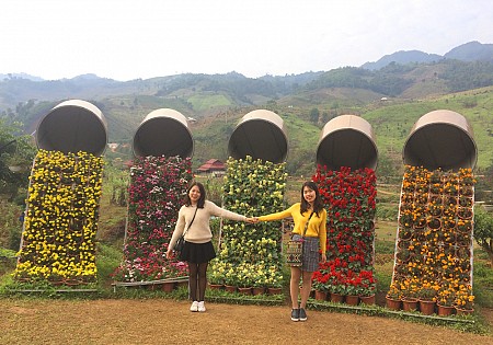 Chương trình Du Xuân Tết Âm Lịch 2025 Khởi hành từ Hà Nội