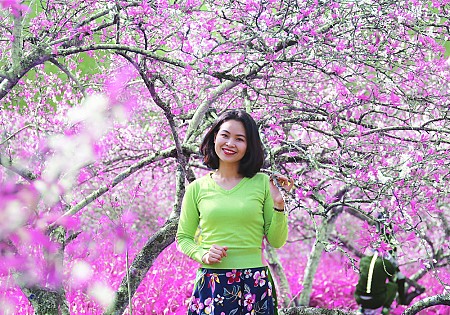 Chương trình Du Xuân Tết Âm Lịch 2025 Khởi hành từ Hà Nội