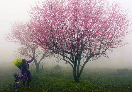 Chương trình Du Xuân Tết Âm Lịch 2025 Khởi hành từ Hà Nội