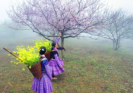 Chương trình Du Xuân Tết Âm Lịch 2025 Khởi hành từ Hà Nội