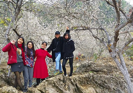 Chương trình Du Xuân Tết Âm Lịch 2025 Khởi hành từ Hà Nội