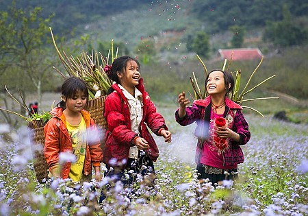 Chương trình Du Xuân Tết Âm Lịch 2025 Khởi hành từ Hà Nội