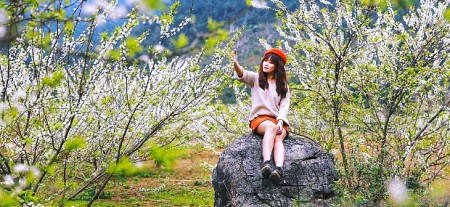 Hà Nội - Mai Châu - Mộc Châu Mùa Hoa Mơ & Hoa Mận