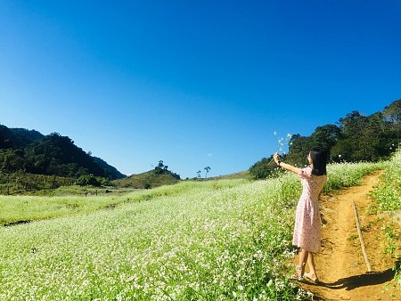 Hà Nội - Mai Châu - Mộc Châu Mùa Hoa Mơ & Hoa Mận