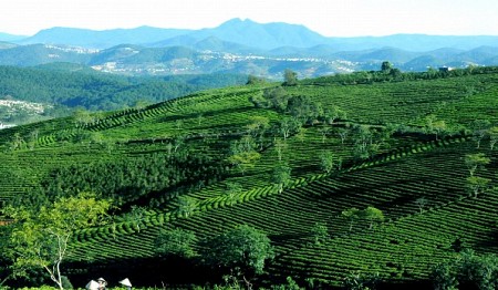 chương trình Hành Trình Tây Bắc 29/4 : HÀ NỘI - MỘC CHÂU - SƠN LA - ĐIỆN BIÊN