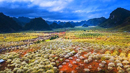 chương trình Hà Nội - Mai Châu - Mộc Châu - Mùa Hoa Cải Trắng - 2 Ngày 1 Đêm