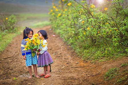 chương trình HÀ NỘI - MAI CHÂU - MỘC CHÂU Tháng 10 Tháng 11 - 2 Ngày 1 Đêm