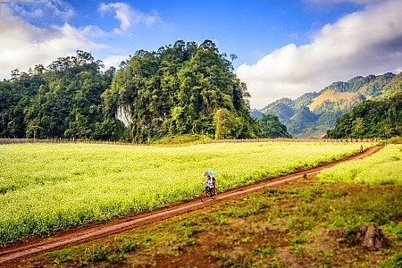 chương trình HÀ NỘI - MAI CHÂU - MỘC CHÂU Tháng 10 Tháng 11 - 2 Ngày 1 Đêm