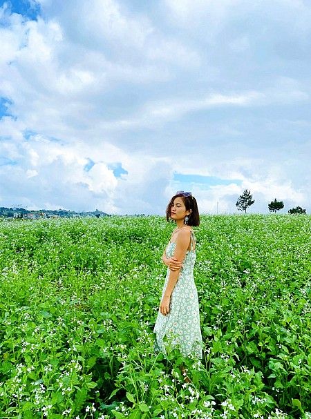 Chương trình Mộc Châu Mùa Hoa - Mùa Hồng Chín 2025